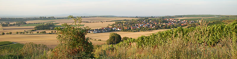 Dalheim - Mitten in Rheinhessen